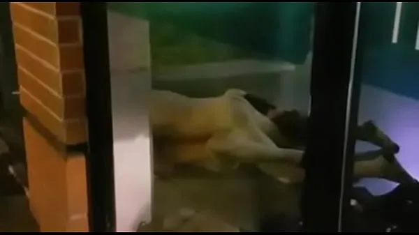 Nézze meg: Couple having sex on bench BANESCO Power Tube
