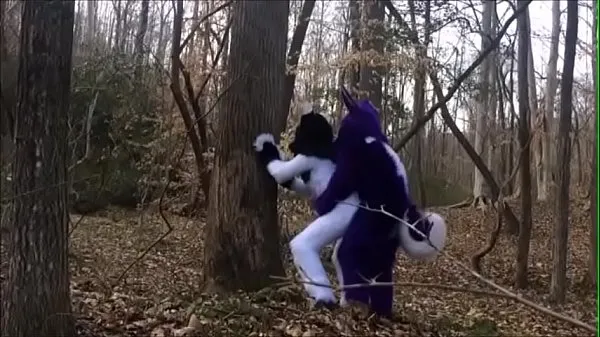 شاهد Fursuit Couple Mating in Woods أنبوب الطاقة